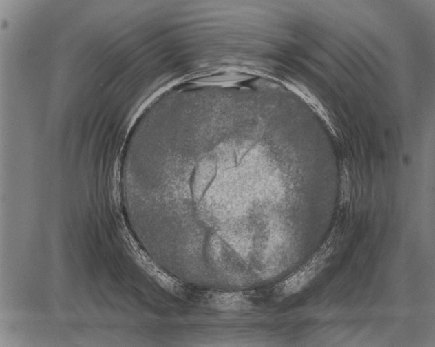 X0000081450798200702021741