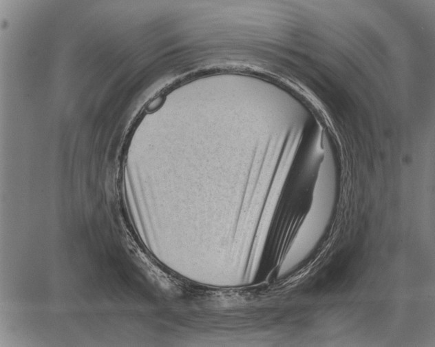 X0000081450799200702021741