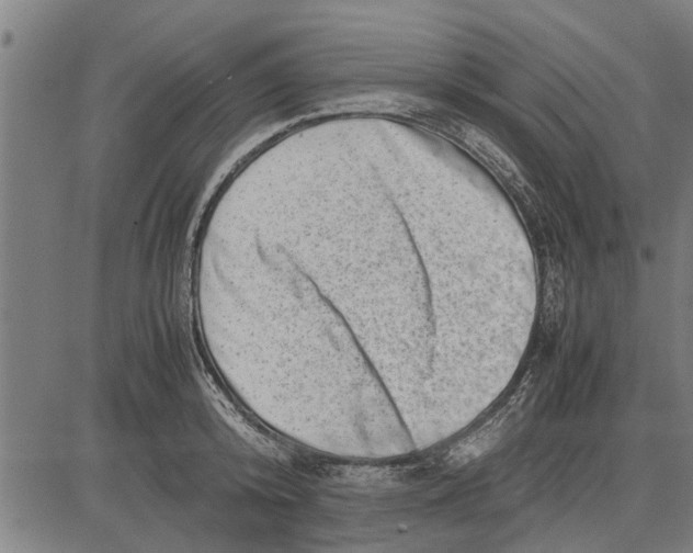 X0000081450800200702021741