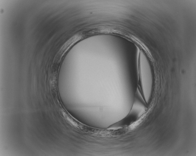 X0000081450801200702021741