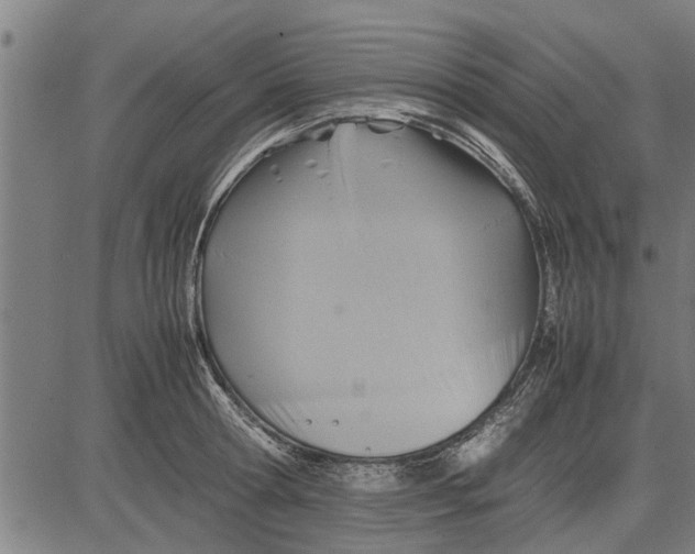 X0000081450802200702021741