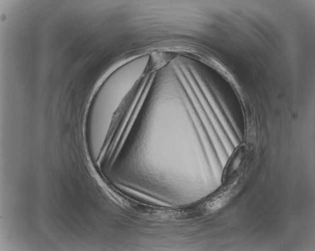 X0000081450803200702021741