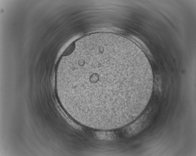 X0000081450804200702021741