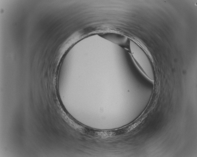 X0000081450805200702021741