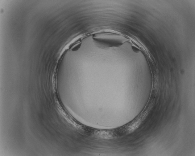 X0000081450806200702021741