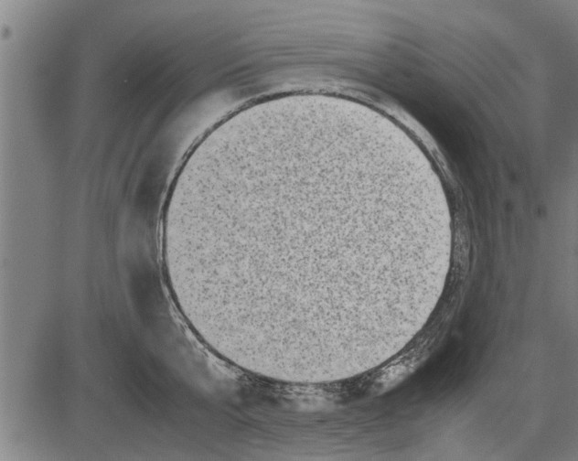 X0000081450807200702021741