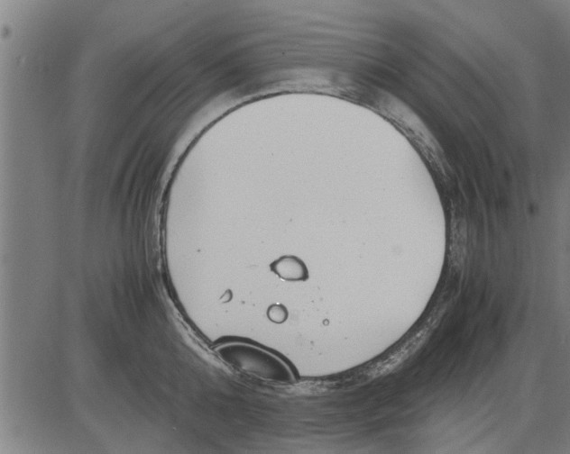 X0000081450808200702021741