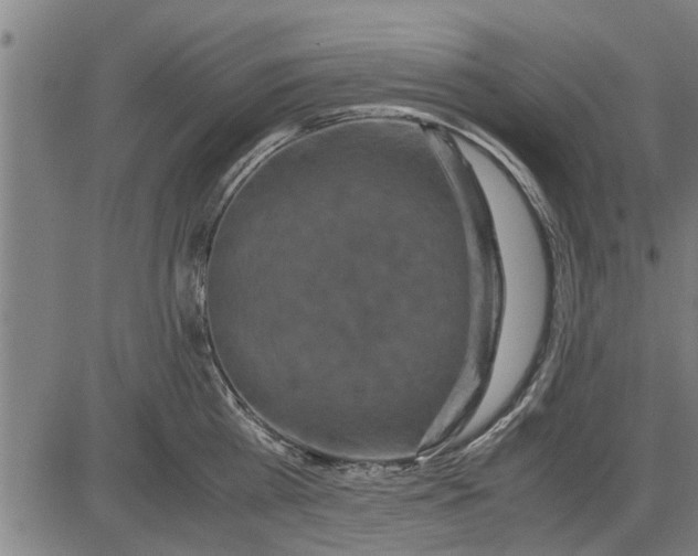 X0000081450809200702021741