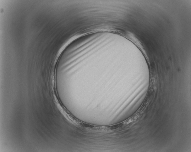 X0000081450811200702021741