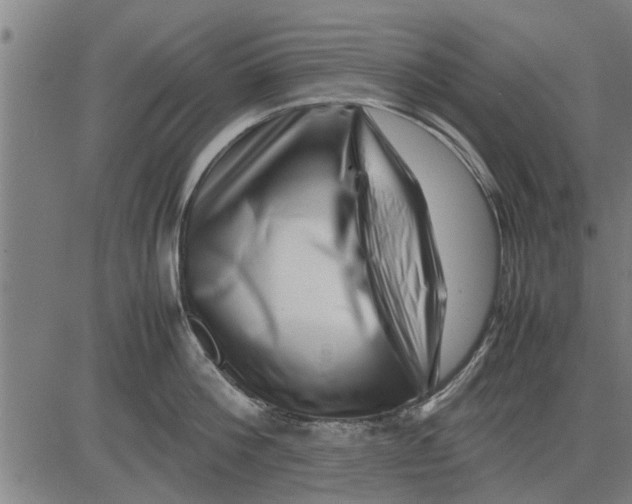 X0000081450812200702021741