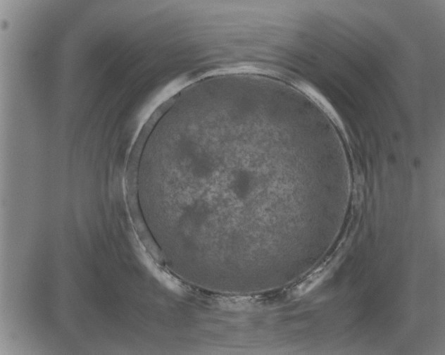 X0000081450813200702021741