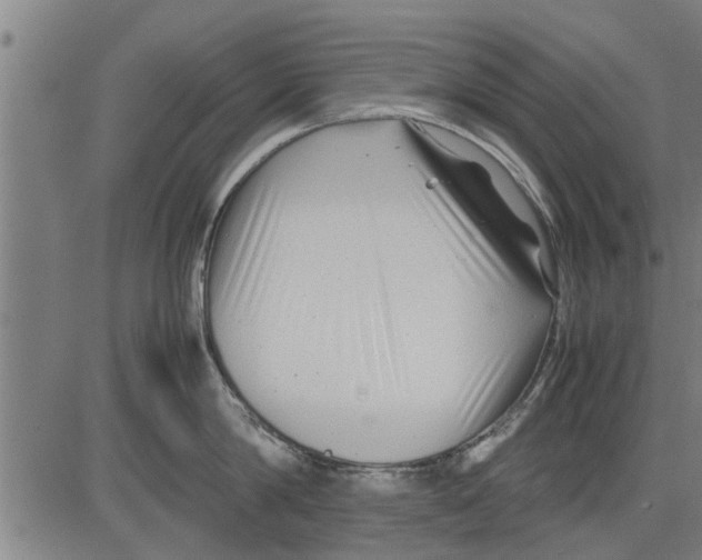 X0000081450814200702021741