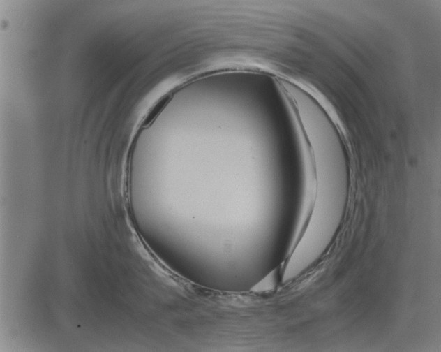 X0000081450815200702021741