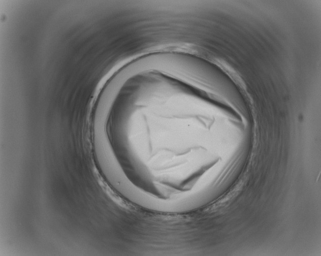 X0000081450816200702021741