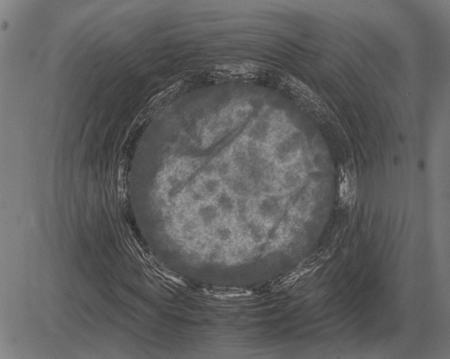 X0000081450819200702021740