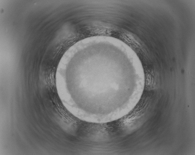 X0000081450820200702021740