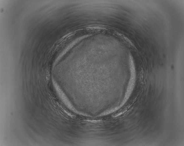 X0000081450821200702021740