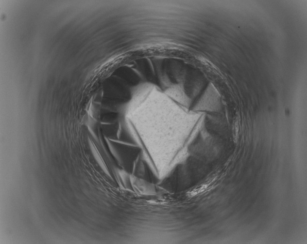 X0000081450822200702021740