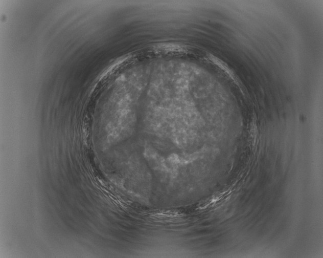 X0000081450823200702021740