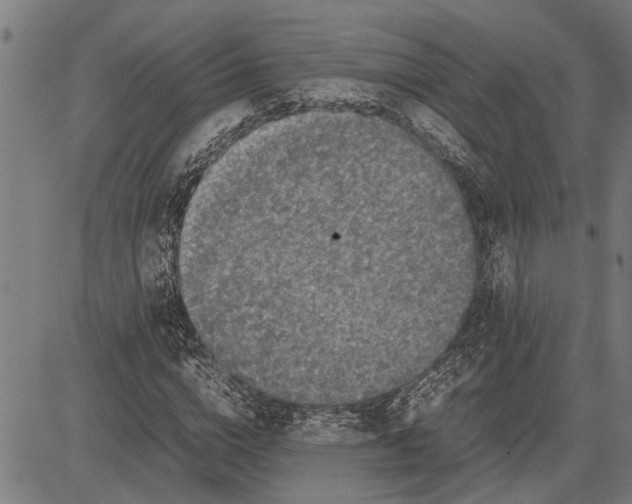 X0000081450824200702021740