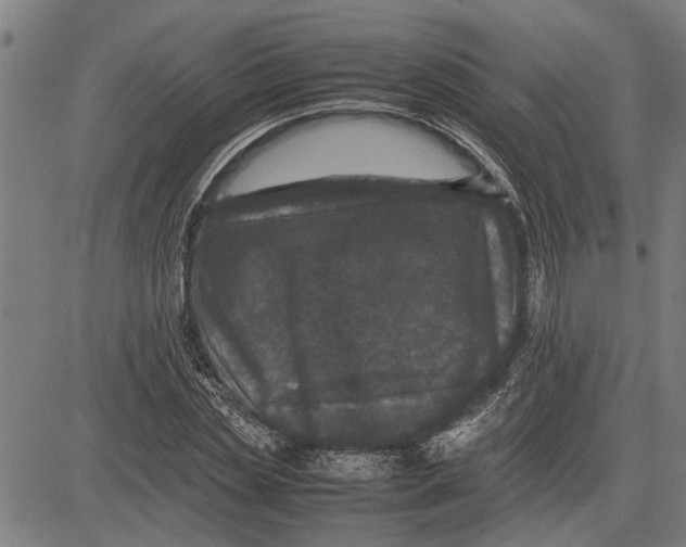 X0000081450829200702021740