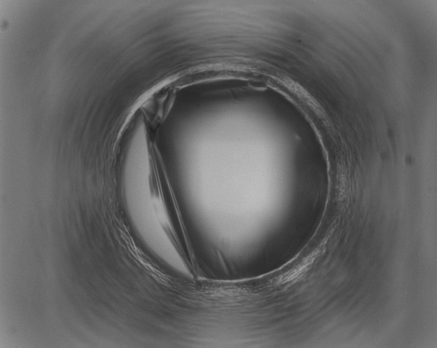 X0000081450830200702021740