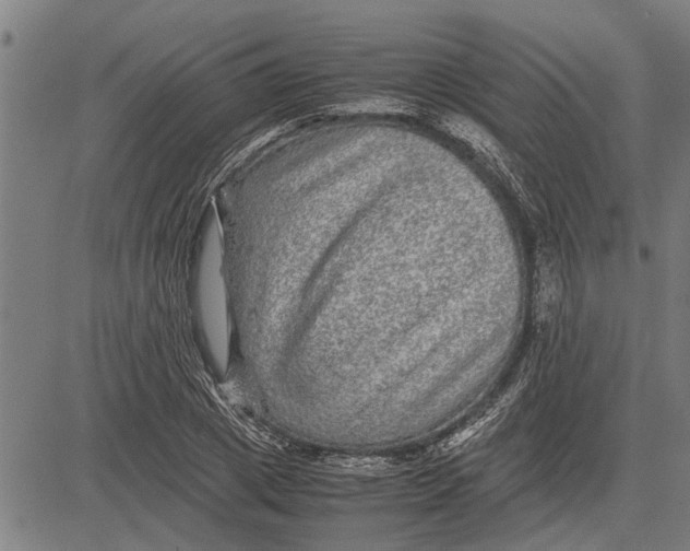 X0000081450833200702021740