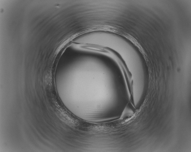 X0000081450834200702021740