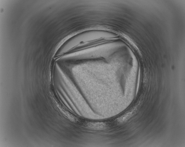 X0000081450837200702021740