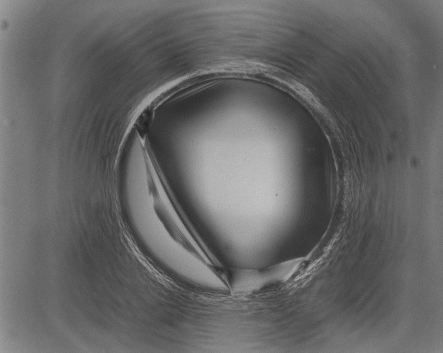 X0000081450838200702021740