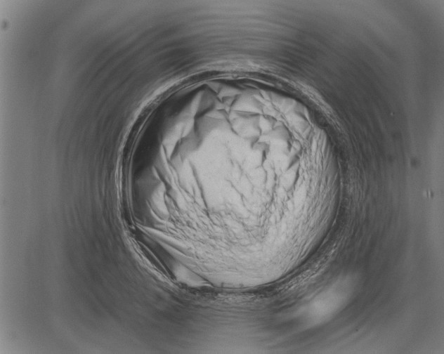 X0000081450840200702021740