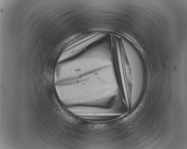 X0000081450841200702021740