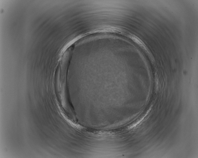 X0000081450842200702021740