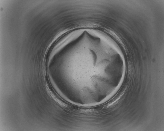 X0000081450843200702021740