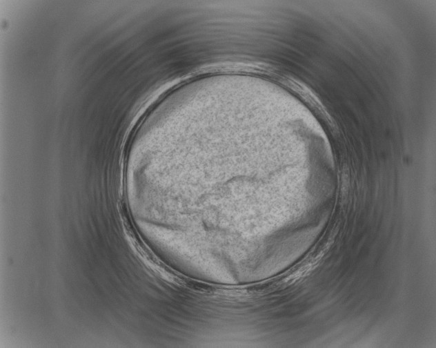 X0000081450844200702021740