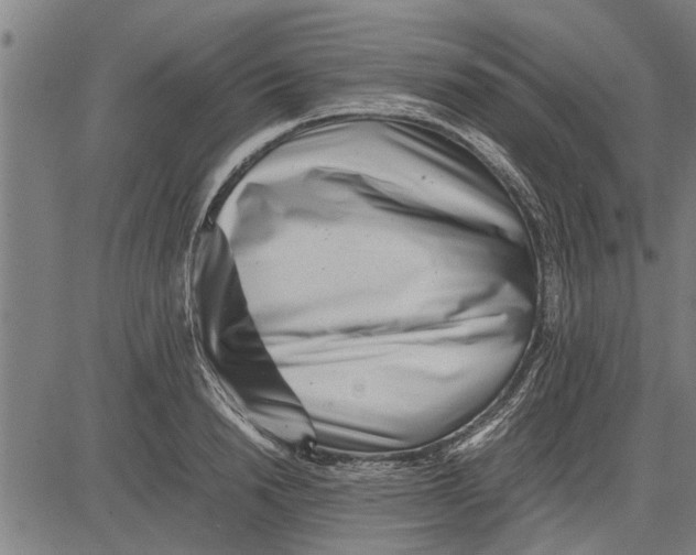 X0000081450846200702021740