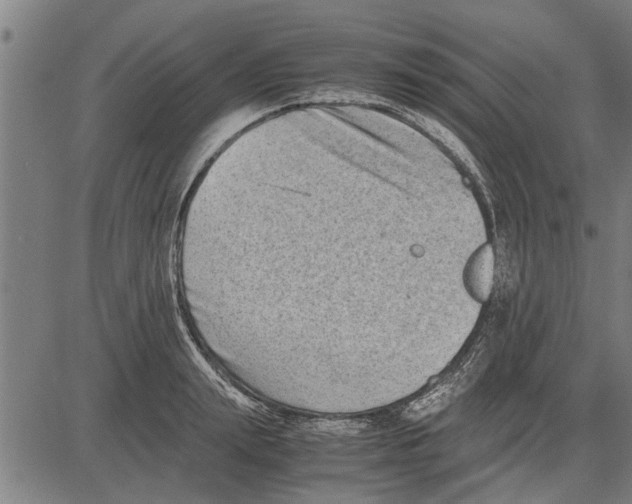 X0000081450847200702021740