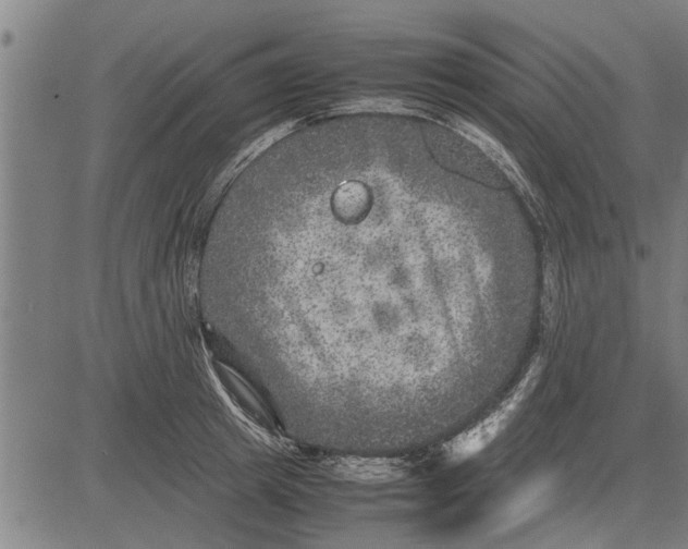 X0000081450849200702021740