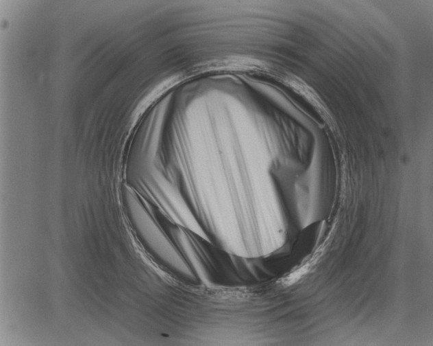 X0000081450850200702021740