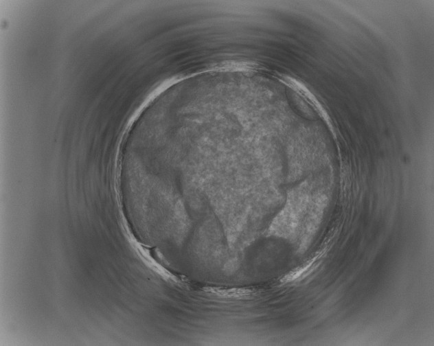 X0000081450851200702021740