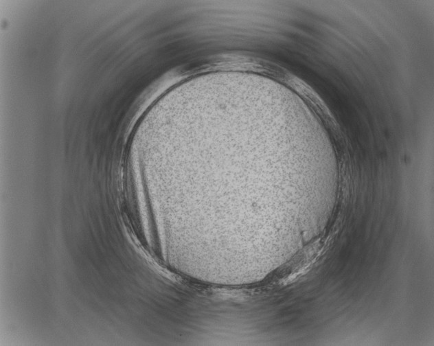 X0000081450852200702021740