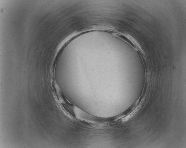 X0000081450854200702021740