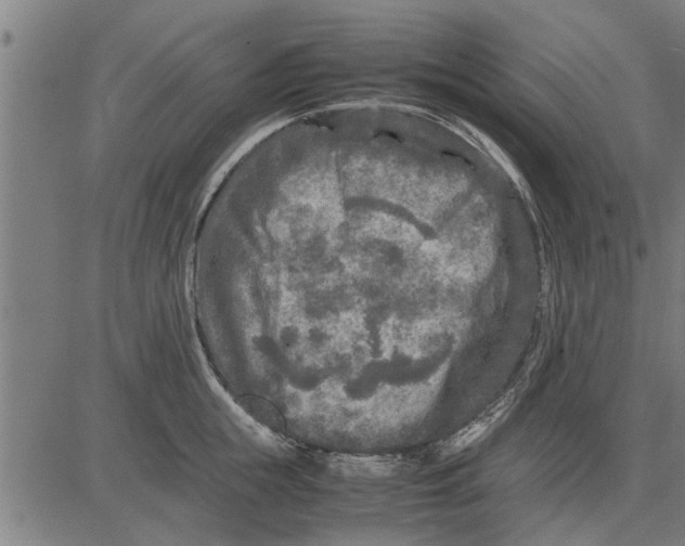 X0000081450855200702021740