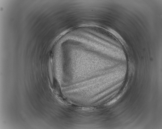 X0000081450857200702021740