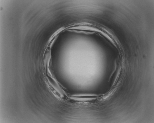 X0000081450858200702021740