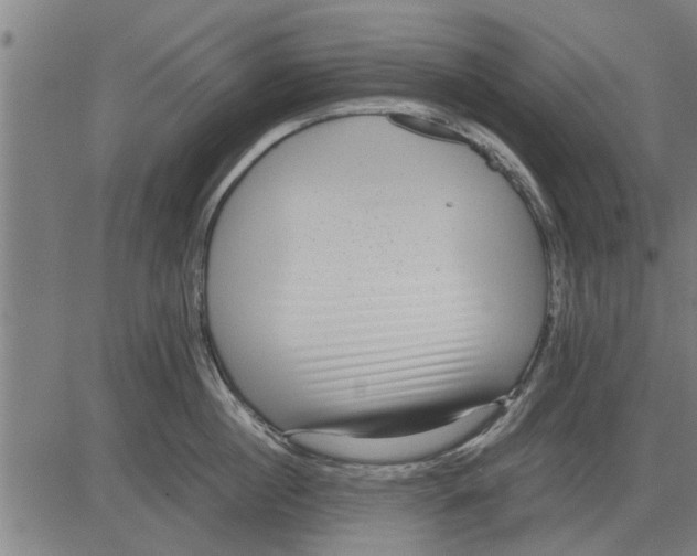 X0000081450860200702021740