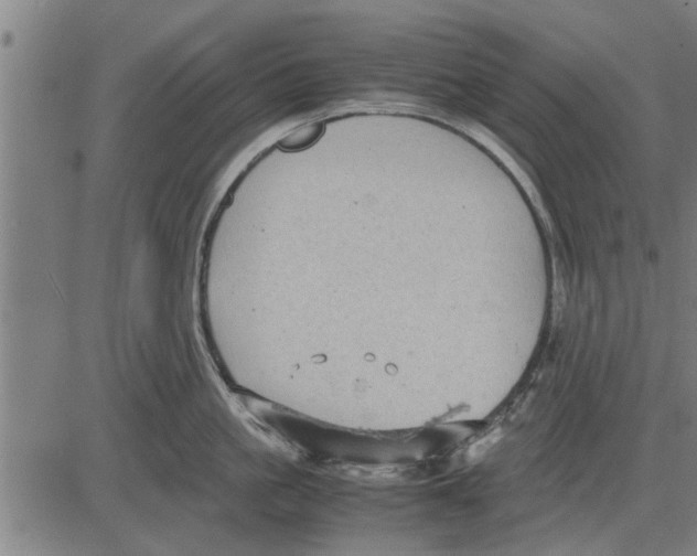 X0000081450861200702021740