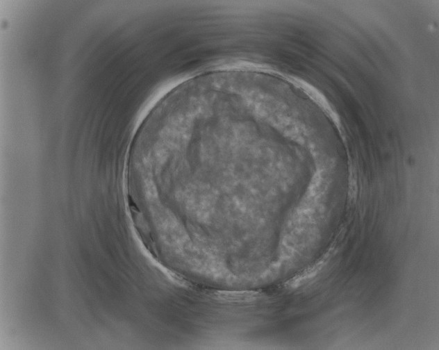 X0000081450863200702021740