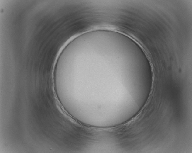 X0000081450864200702021741