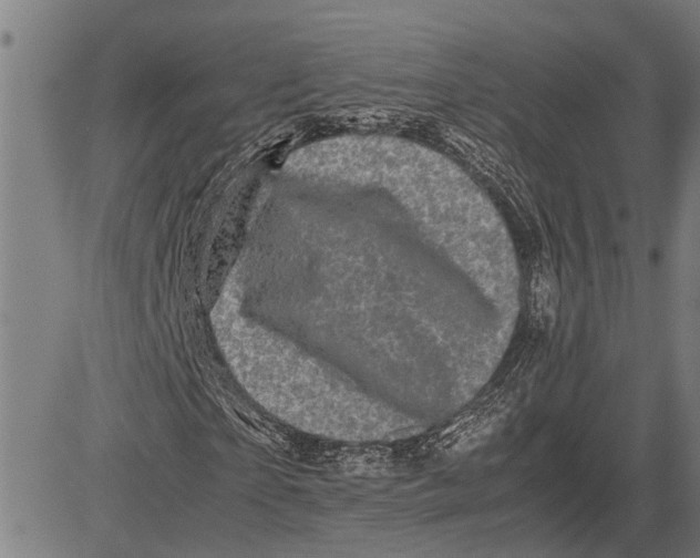 X0000081450865200702021740